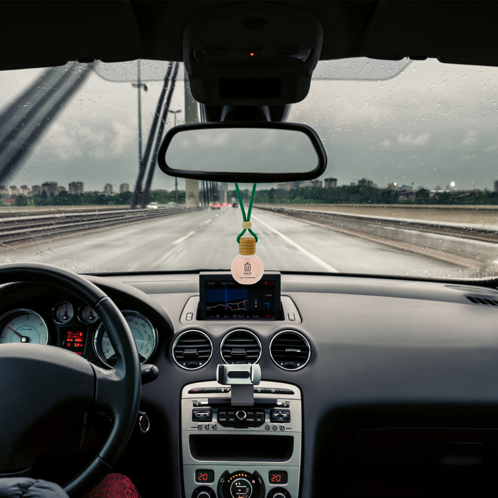 Car Freshener Combo (Sandalwood)